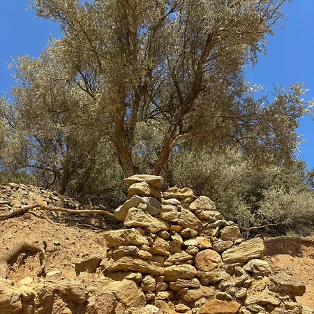 Xanthos Villa